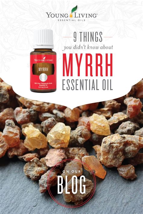 who are the suppliers of myrrh oil in usa